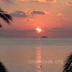 Avatar Emilia Barrera