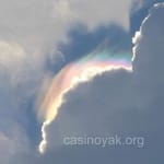 Avatar Miranda Báez